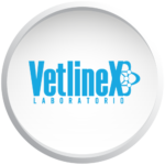 LOGOS - Pagina v3-16