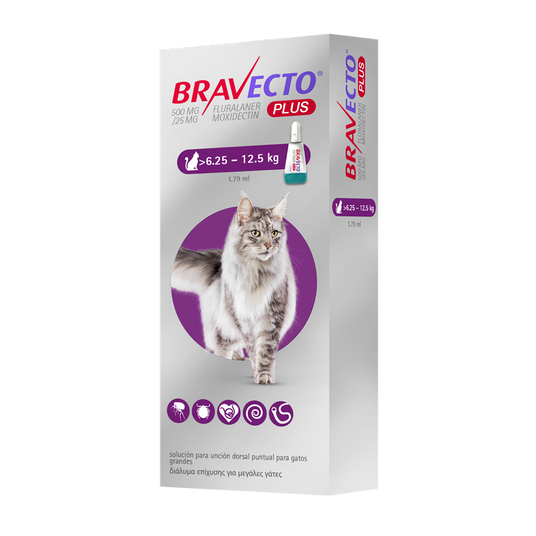BRAVECTO PLUS (6.25 - 12.5 kg)