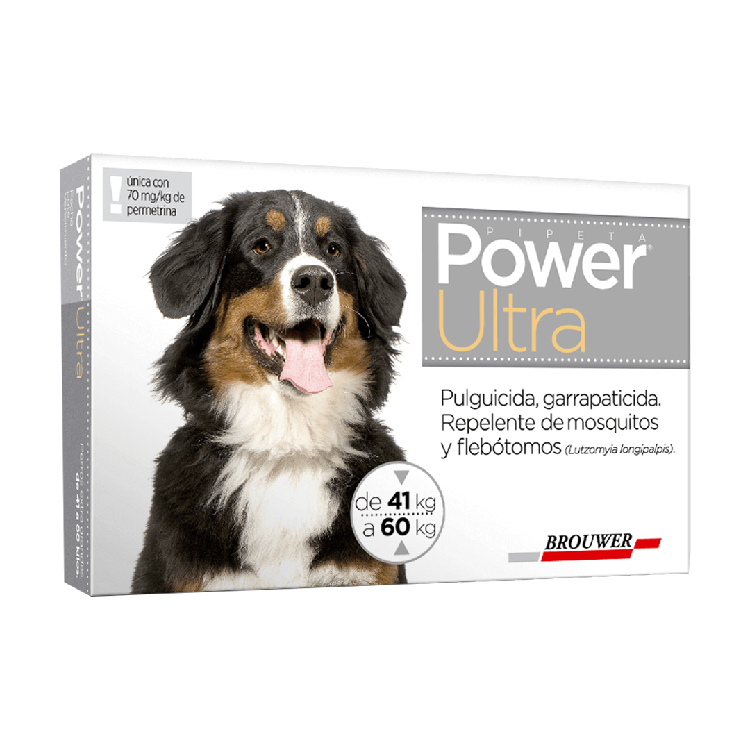 POWER ULTRA (41 - 60 kg)