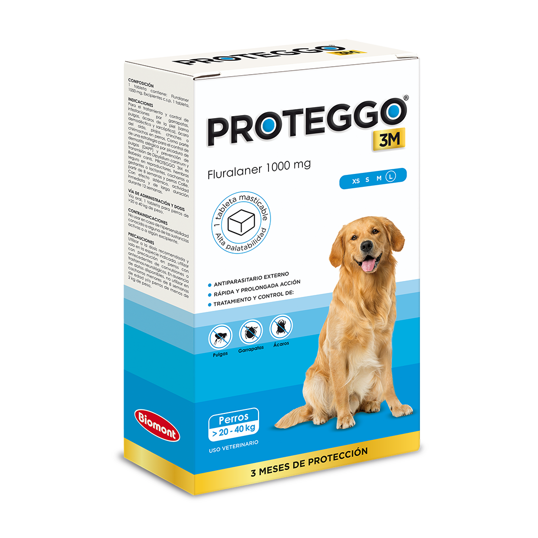 PROTEGGO 3M (Large 20 - 40 kg)