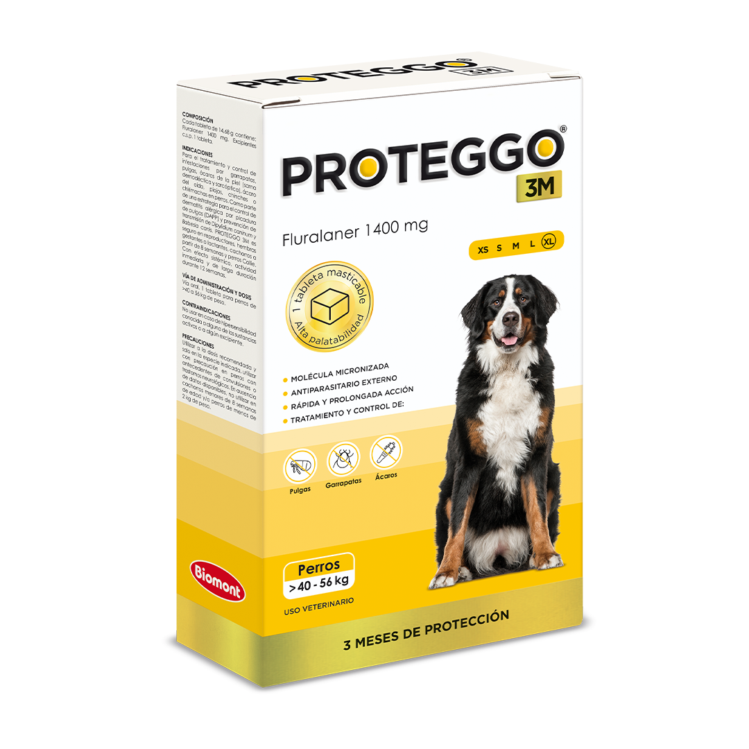 PROTEGGO 3M (Extra large 40 - 56 kg)