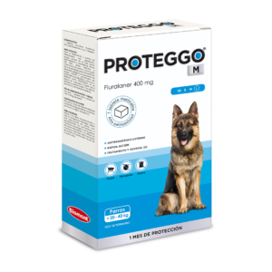PROTEGGO M (Large 20 - 40 kg)